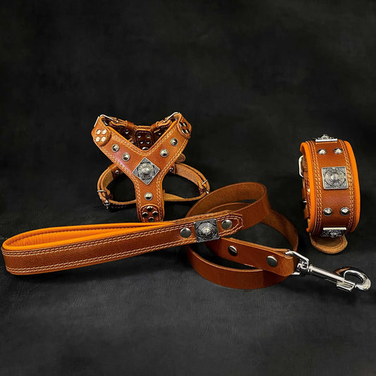 "EROS" Small to Medium dog SET - Harness - collar - lead. Brown - Pet Collars & Harnesses from Bestia Dog Gear