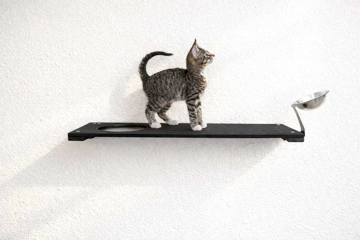 Wall Mounted Cat Feeding Shelf by Catastrophic Creations; black wooden shelf with a metal bowl and a cat on top.