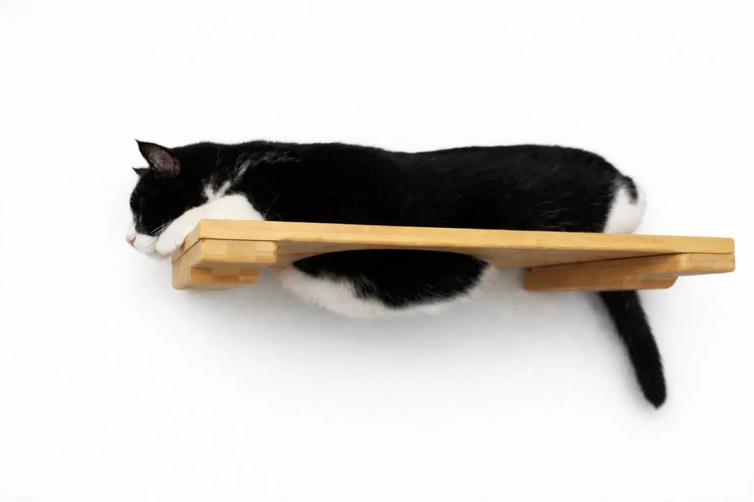 Wall-mounted cat shelf in natural wood finish with a cat resting on it.