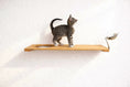 Carica l'immagine nel visualizzatore della galleria, Wall Mounted Cat Feeding Shelf in natural wood with circular cutout and metal bowl on a curved arm; cat on shelf.

