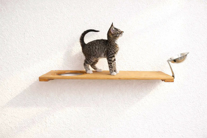 Wall Mounted Cat Feeding Shelf in natural wood with circular cutout and metal bowl on a curved arm; cat on shelf.