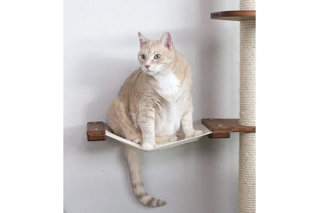 The Expedition Cat Jungle Gym Wall System Cat Condo by Catastrophic Creations; beige fabric hammock on wood supports.