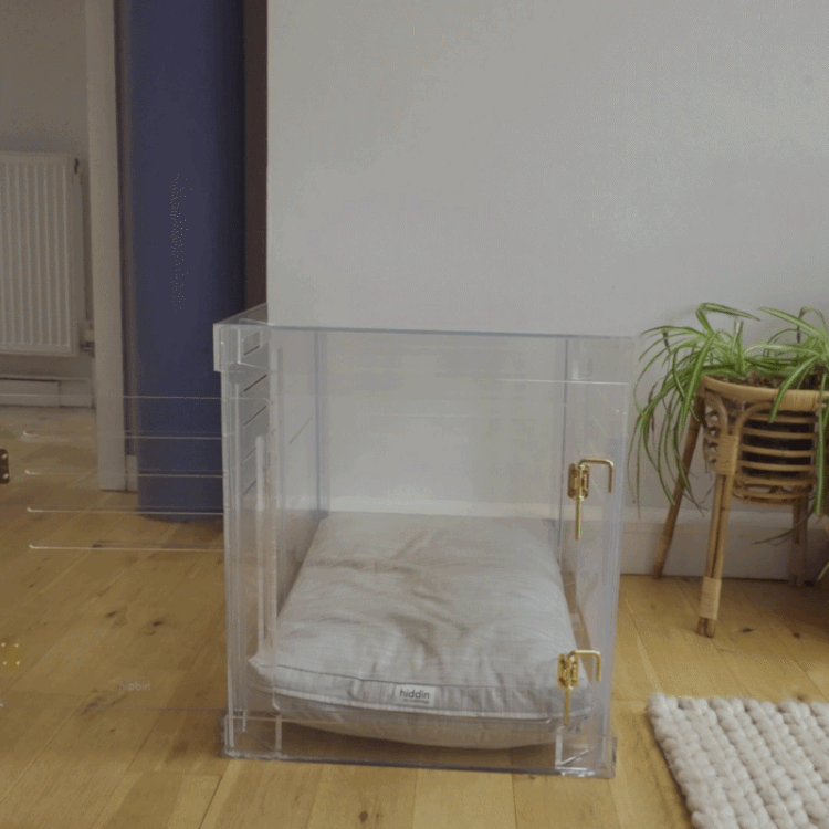 Hiddin Clear Acrylic Dog Crate – Large, Silver Latch