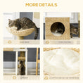 Carica l'immagine nel visualizzatore della galleria, Cattail Weave Cat Tree for Indoor Cats by Pear Daisy; two-panel rattan cat condo and bed
