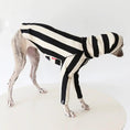 Cargar la imagen en la vista de la galería, Whippet & Greyhound Striped Shirt by SOCKPET, black and cream striped dog costume.
