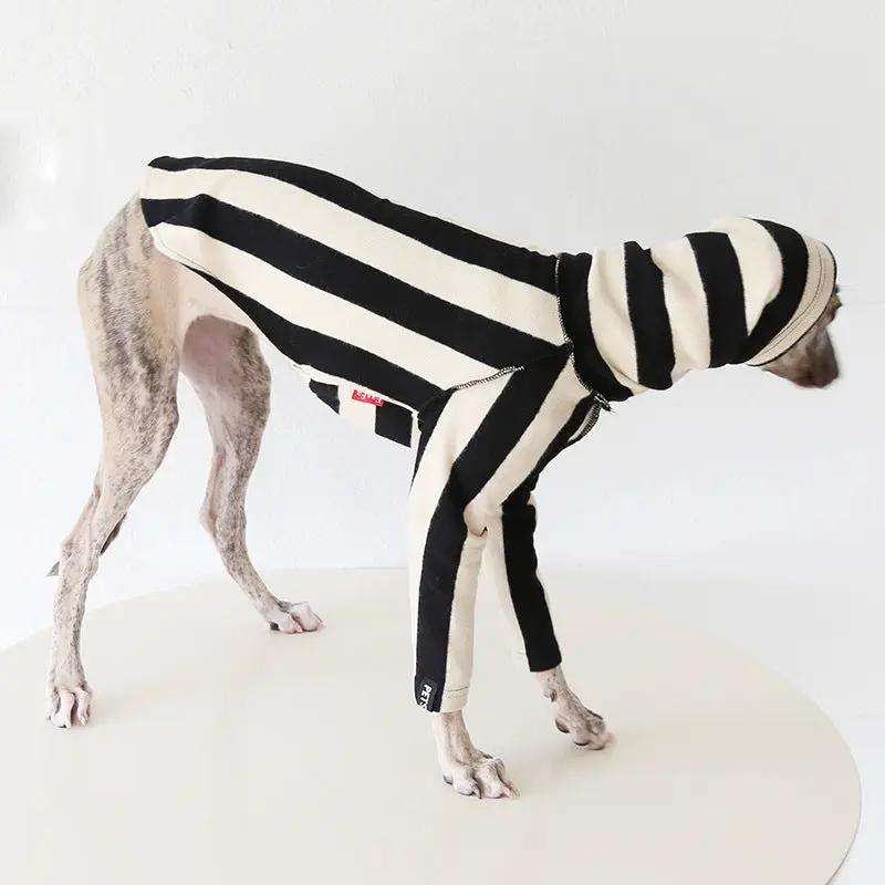 Whippet & Greyhound Striped Shirt by SOCKPET, black and cream striped dog costume.