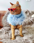 Load image into Gallery viewer, Haute Couture Feathered Luxury Pet Sweater, blue fluffy knit with a furry neck collar.
