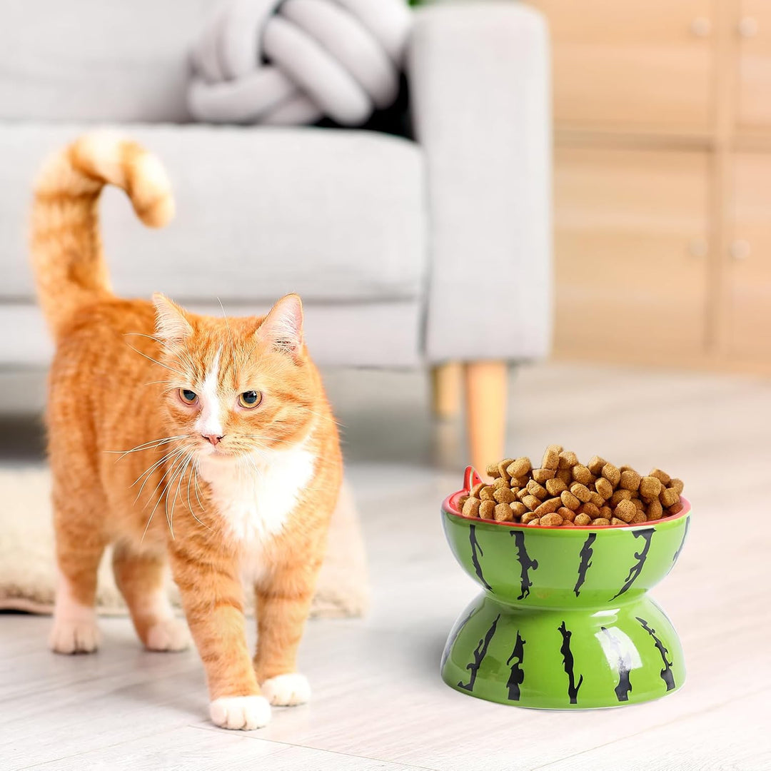Cat standing beside filled watermelon bowl