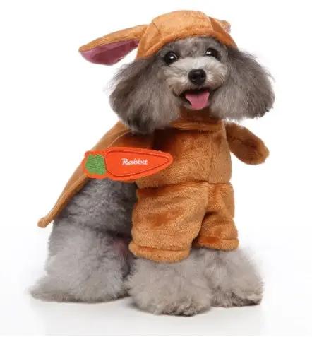Dog cosplay outfit by Pet Zen in orange plush with carrot patch.