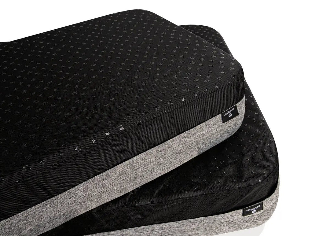 BedGear Performance Pet Bed, Small by HouseOfZazla