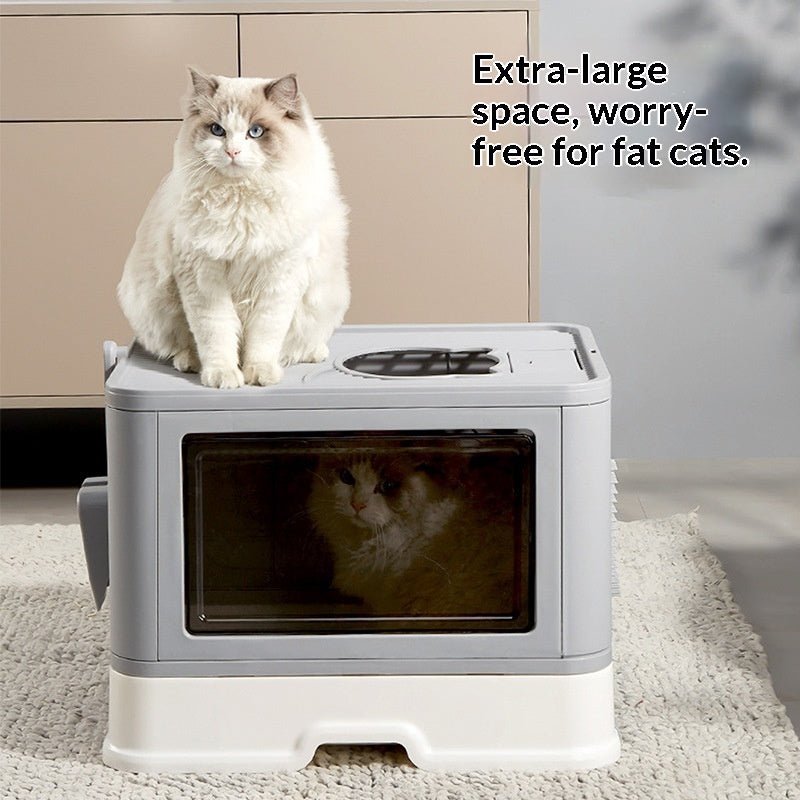Cat on gray enclosed litter box