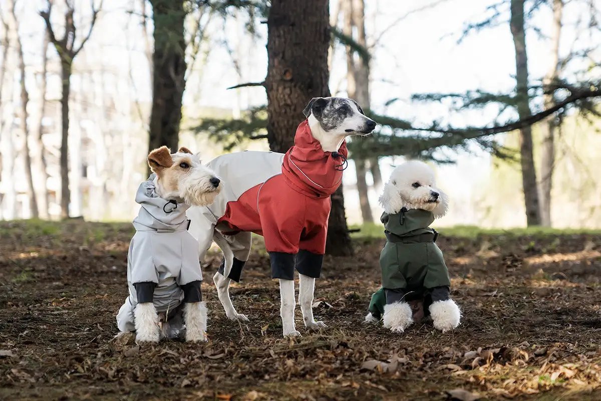 Spring Dog Rainproof Jacket by SOCKPET; 3 dogs wear gray, red, and green coats.