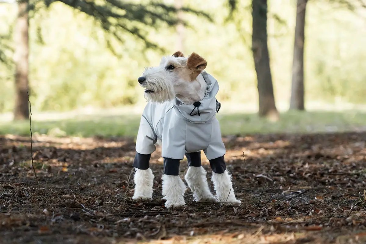 Spring Dog Rainproof Jacket gray hooded raincoat for pets