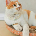Load image into Gallery viewer, FelineStyle Cat Pearl Necklace Pet Collar Lightweight Durable Plastic Fashion Accessory For Feline Companions Stylish by Pet Zen
