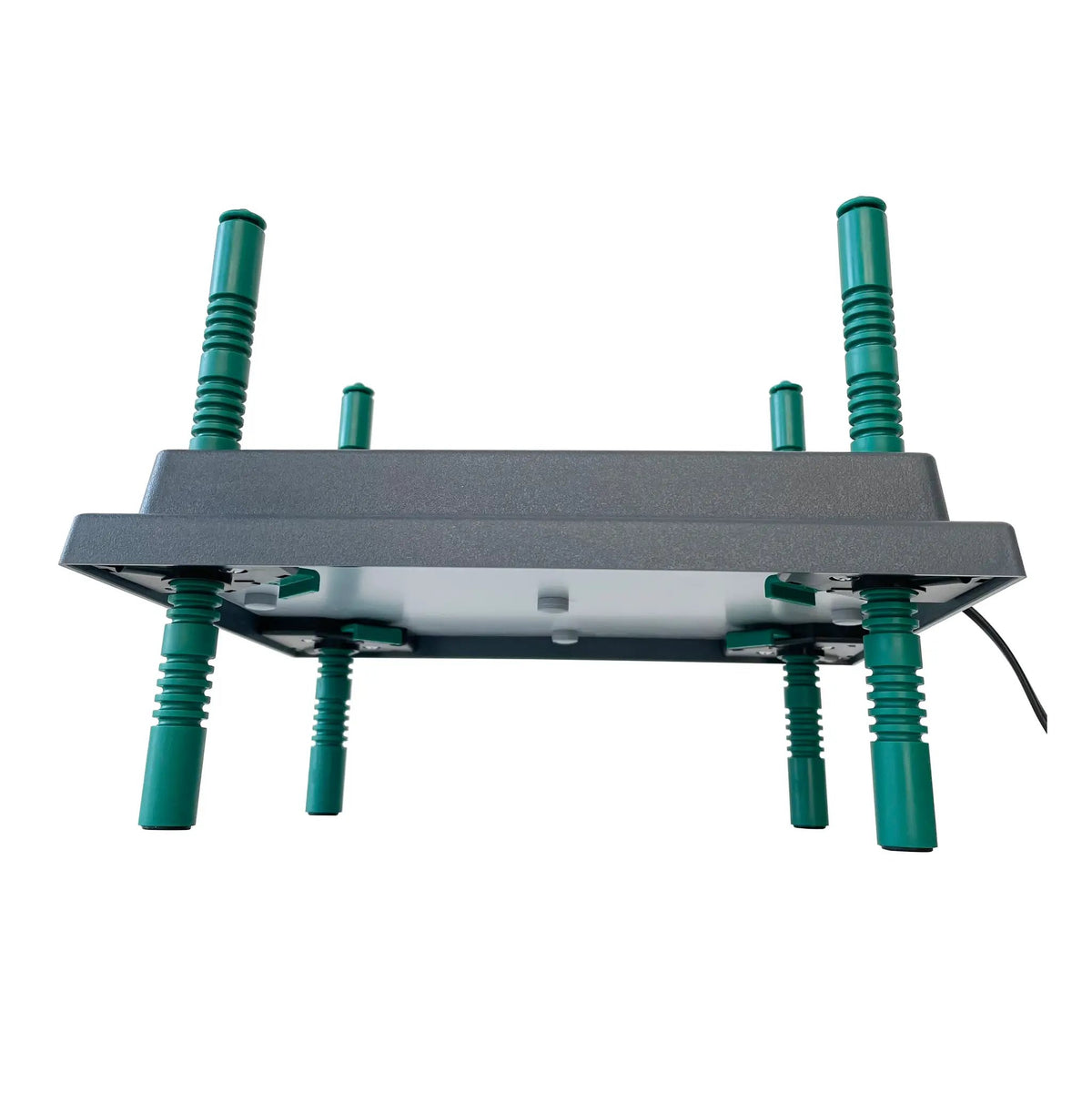 Farmight Chick Brooder Heater Plate with adjustable height and green support posts