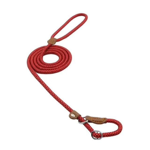 Nylon Pup Set Premium Leather Collar Leash Double Stitch Design by For Animals, With Love