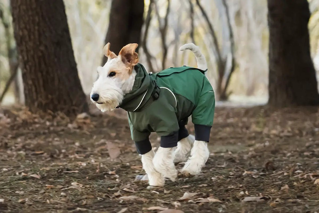 Spring Dog Rainproof Jacket in green, hooded raincoat for dogs.