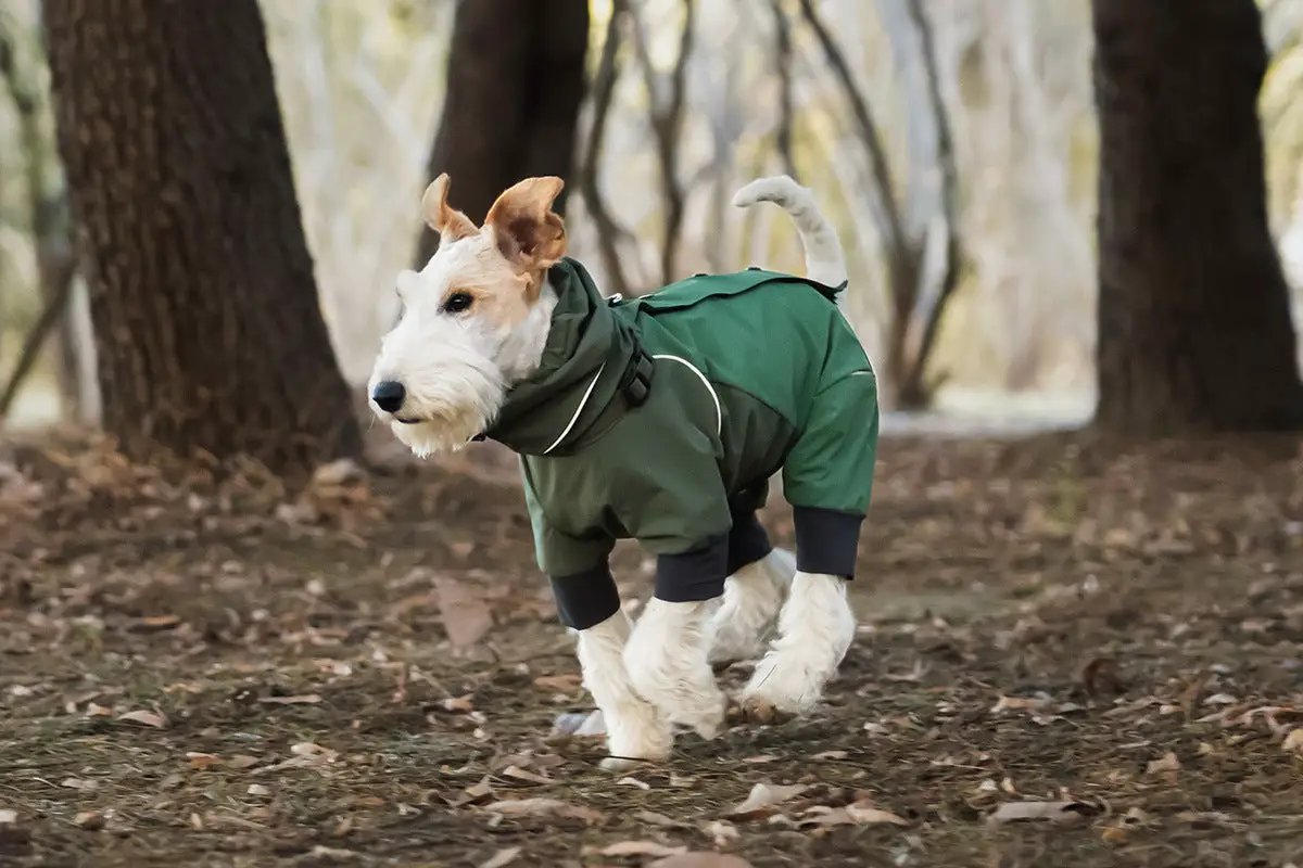 Spring Dog Rainproof Jacket in green, hooded raincoat for dogs.