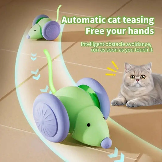 Interactive Electric Mouse Cat Toy With Intelligent Obstacle Avoidance Automatic Pet Teaser For Indoor Play Sessions by Sell My Stuff