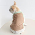 Carica l'immagine nel visualizzatore della galleria, Pug & Frenchie Color-Block Tank by SOCKPET, brown and mint dog costume
