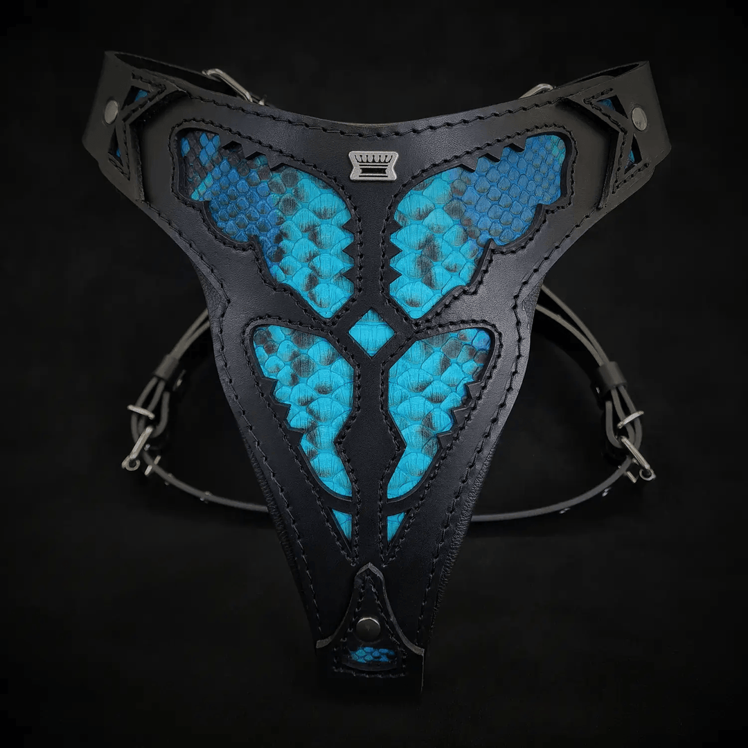 Bestia Morelia Python blue leather dog harness, front view