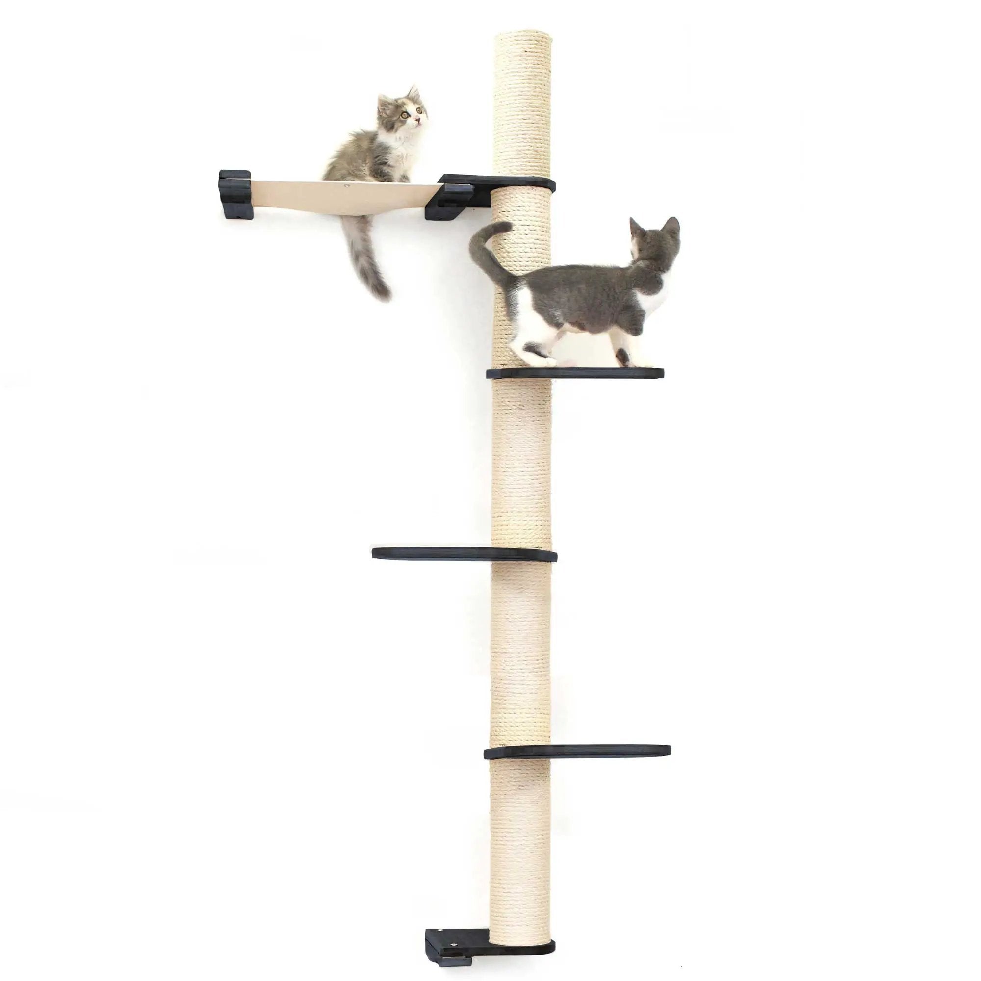 The Crow's Nest wall cat condo with hammock by Catastrophic Creations, beige platform and rope-wrapped post, two cats