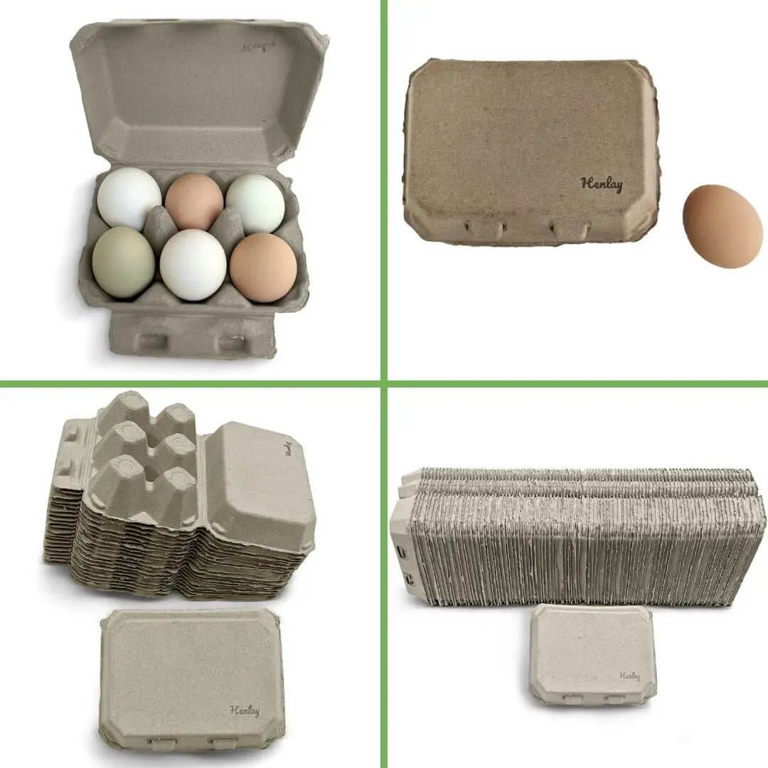 Half Dozen Egg Cartons - Henlay Blank Flat Top, Six Pack, 2 colors, 20 or 100