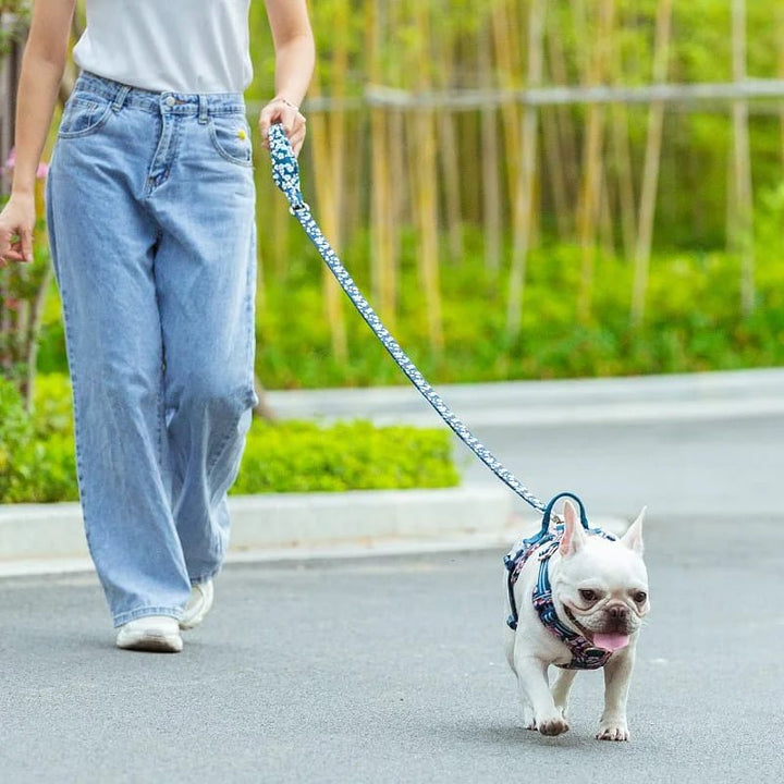 TrueLove Floral Multi-Handle Dog Leash TLL3112