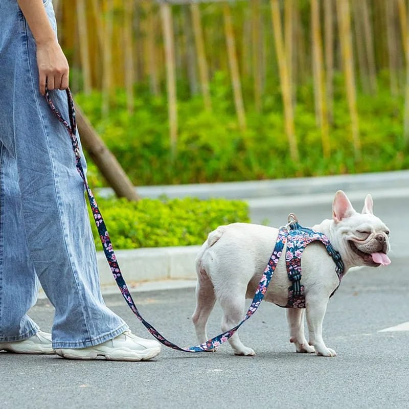 TrueLove Floral Multi-Handle Dog Leash TLL3112