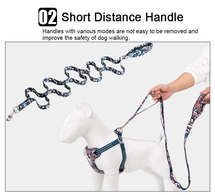 TrueLove Floral Multi-Handle Dog Leash TLL3112