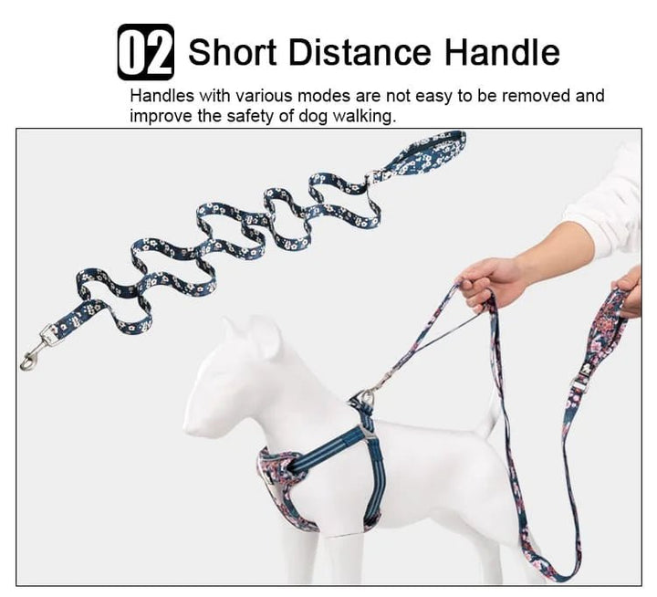 TrueLove Floral Multi-Handle Dog Leash TLL3112
