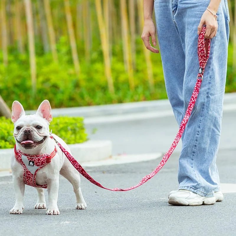 TrueLove Floral Multi-Handle Dog Leash TLL3112