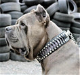 Charger l'image dans la visionneuse de la galerie, The ''Steampunk'' collar exclusive design - Pet Collars & Harnesses from Bestia Dog Gear
