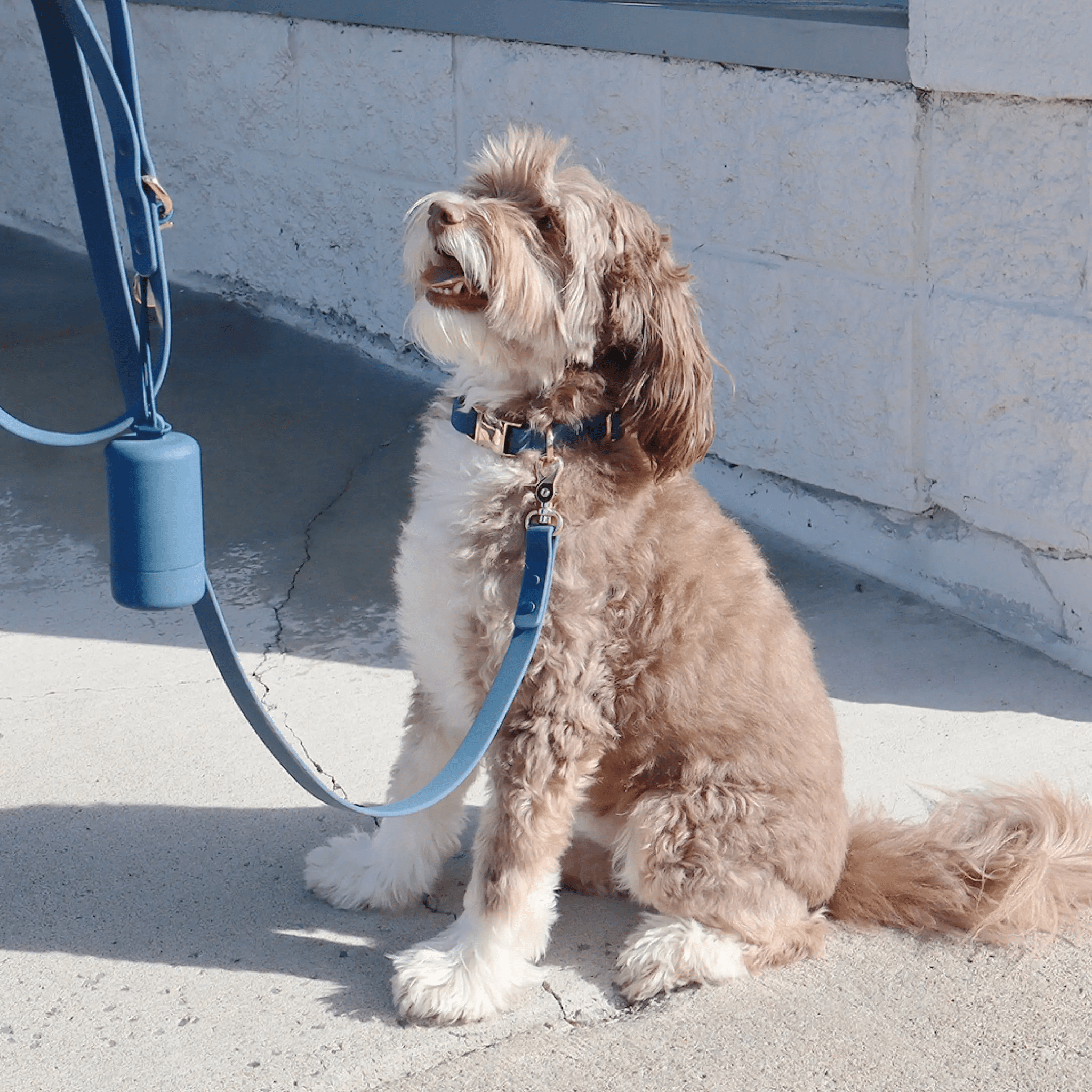 Waterproof Dog Leash | Pink