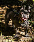 Load image into Gallery viewer, Bestia Dog Gear Genuine Studded Leather Harness Black Small Medium Size by Bestia Dog Gear
