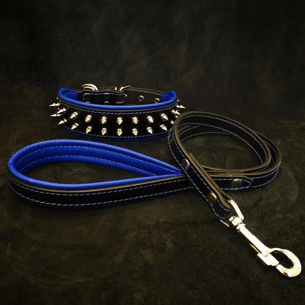 "Frenchie" Set- collar & leash. Blue - Pet Collars & Harnesses from Bestia Dog Gear