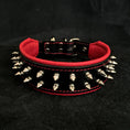 Charger l'image dans la visionneuse de la galerie, "Frenchie" collar - Pet Collars & Harnesses from Bestia Dog Gear
