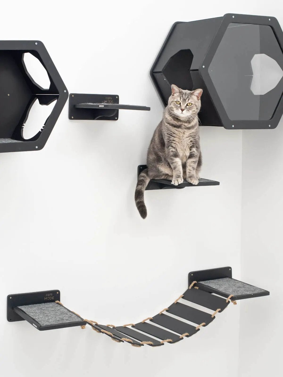 Small Cat House by Enjoy The Wood B2B; black modular cat condo wall mounts with hex panels and a rope ramp, cat seated.
