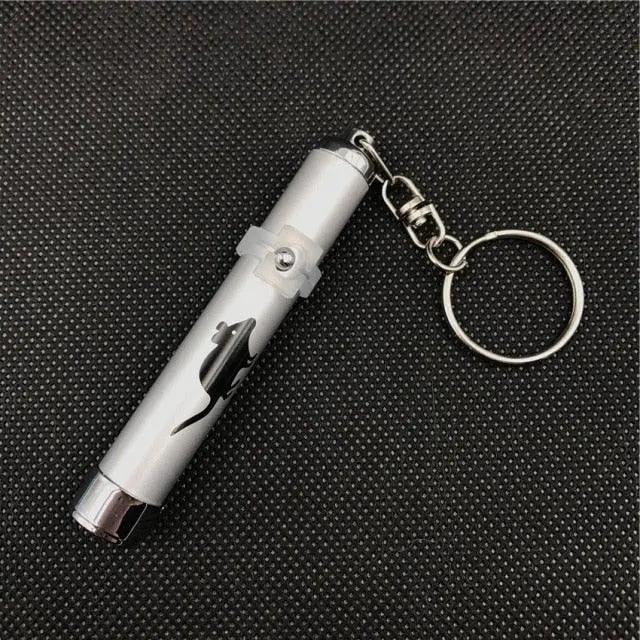 STEVVEX Interactive USB Rechargeable LED Laser Pointer Toy Pets Red by Stevvex