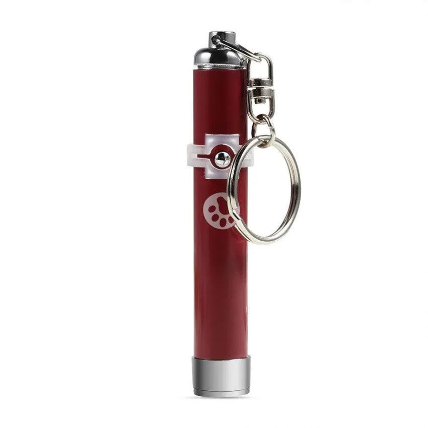 STEVVEX Interactive USB Rechargeable LED Laser Pointer Toy Pets Red by Stevvex