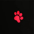 Cargar la imagen en la vista de la galería, STEVVEX Interactive USB Rechargeable LED Laser Pointer Toy Pets Red by Stevvex

