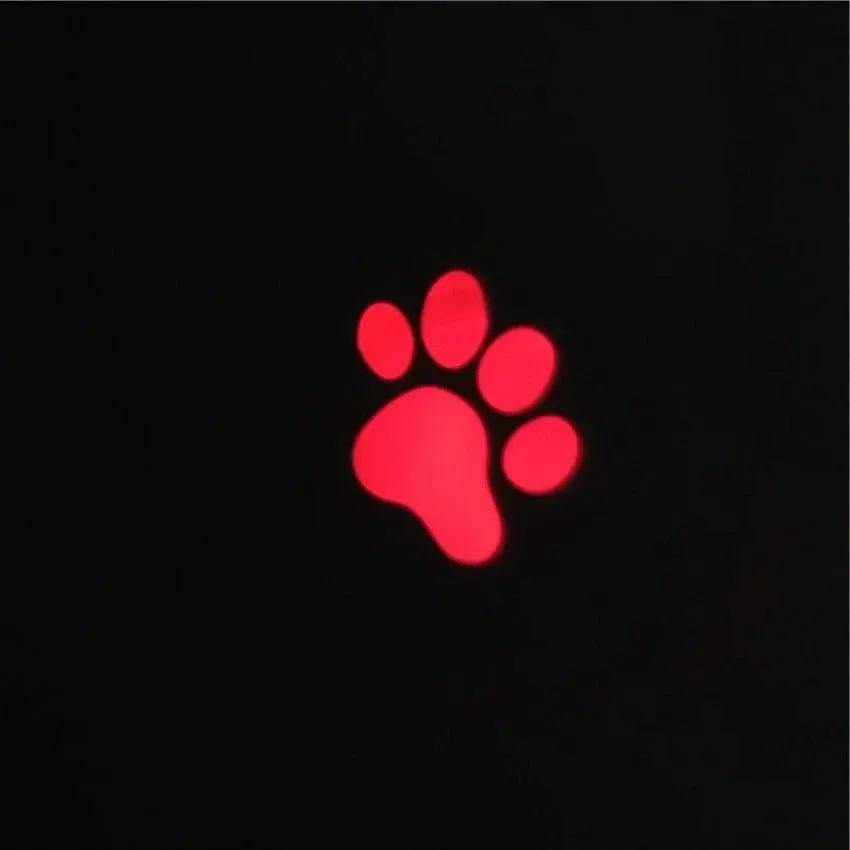 STEVVEX Interactive USB Rechargeable LED Laser Pointer Toy Pets Red by Stevvex
