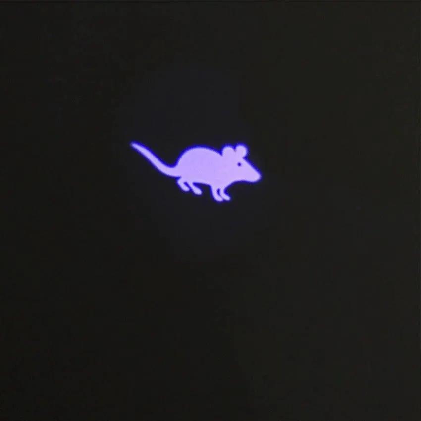 STEVVEX Interactive USB Rechargeable LED Laser Pointer Toy Pets Red by Stevvex