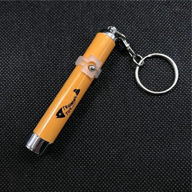 STEVVEX Interactive USB Rechargeable LED Laser Pointer Toy Pets Red by Stevvex