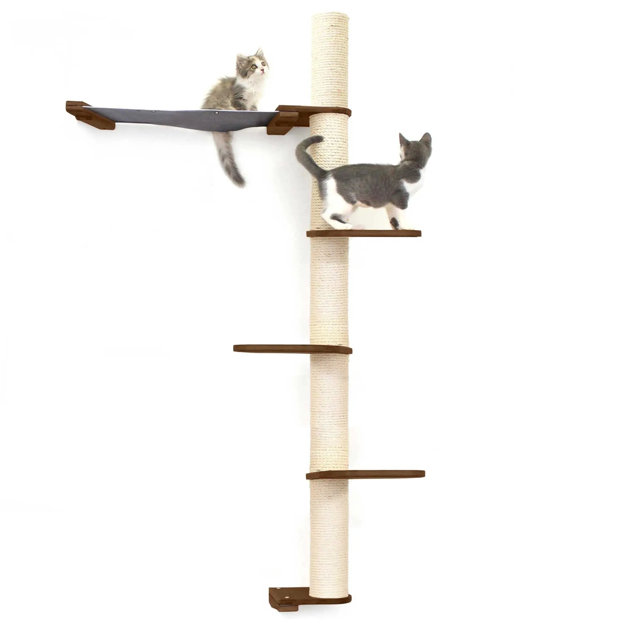 The Crow's Nest wall cat condo with hammock by Catastrophic Creations; sisal rope pole, two cats.