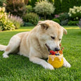 Cargar la imagen en la vista de la galería, Honey Pot Dog eCup Treat Dispenser | Durable PUP-X Rubber Enrichment Toy | USA Made
