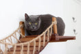 Gallery viewerに画像を読み込む, Cat Wall Bridge and Shelf Set by Catastrophic Creations; gray cat perched on wooden bridge with jute rope.
