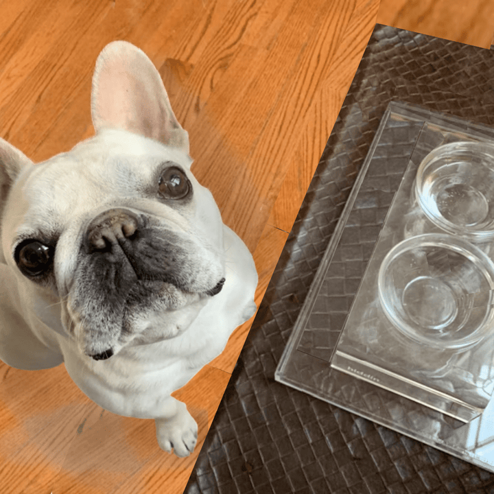 Hiddin Clear Acrylic Feeder Overflow Tray