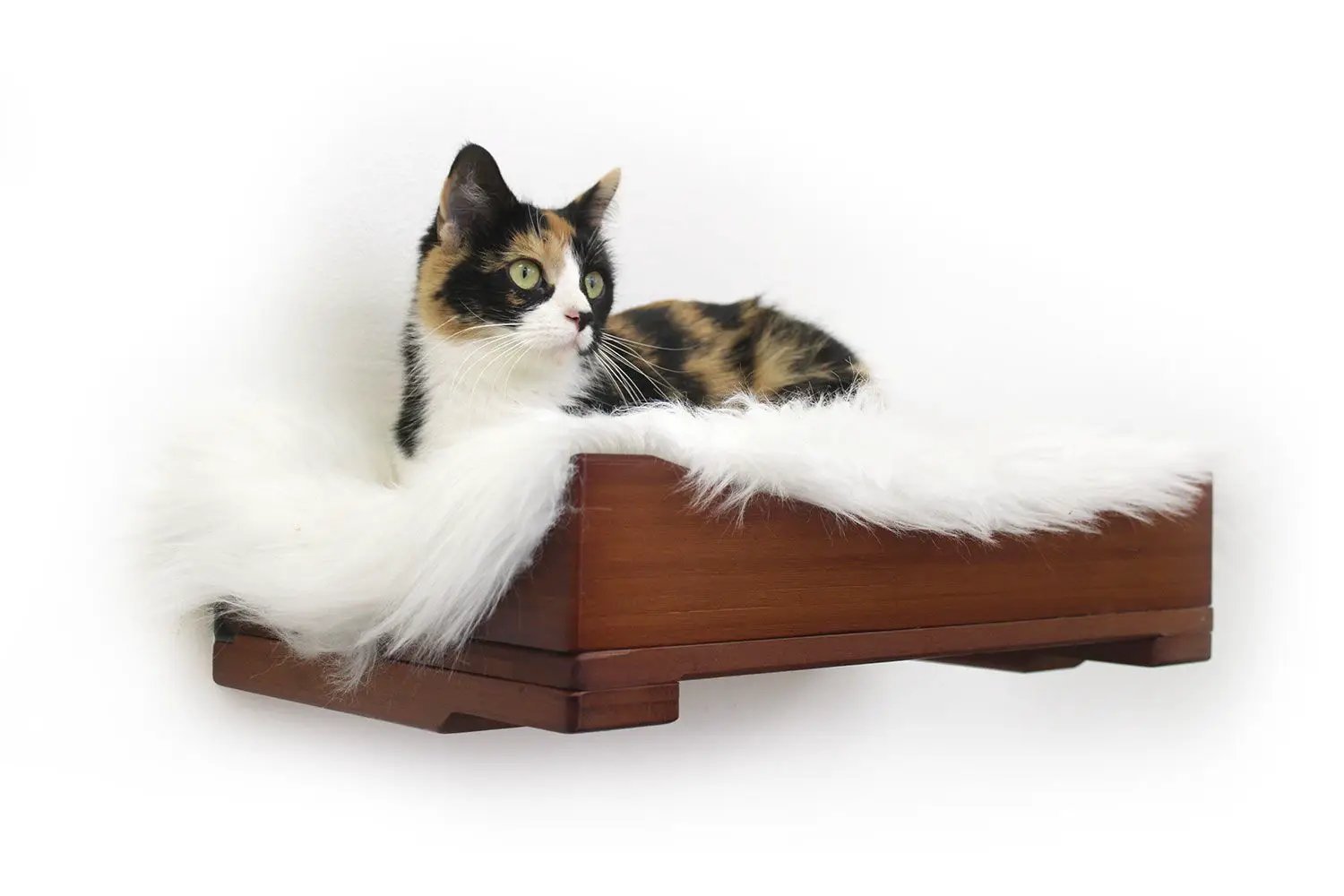 The Cat Nest Bed cat perch by Catastrophic Creations in brown wood with white faux fur lining