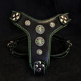 Load image into Gallery viewer, The ''Bijou'' harness Black & Green Small to Medium Size - Pet Collars & Harnesses from Bestia Dog Gear
